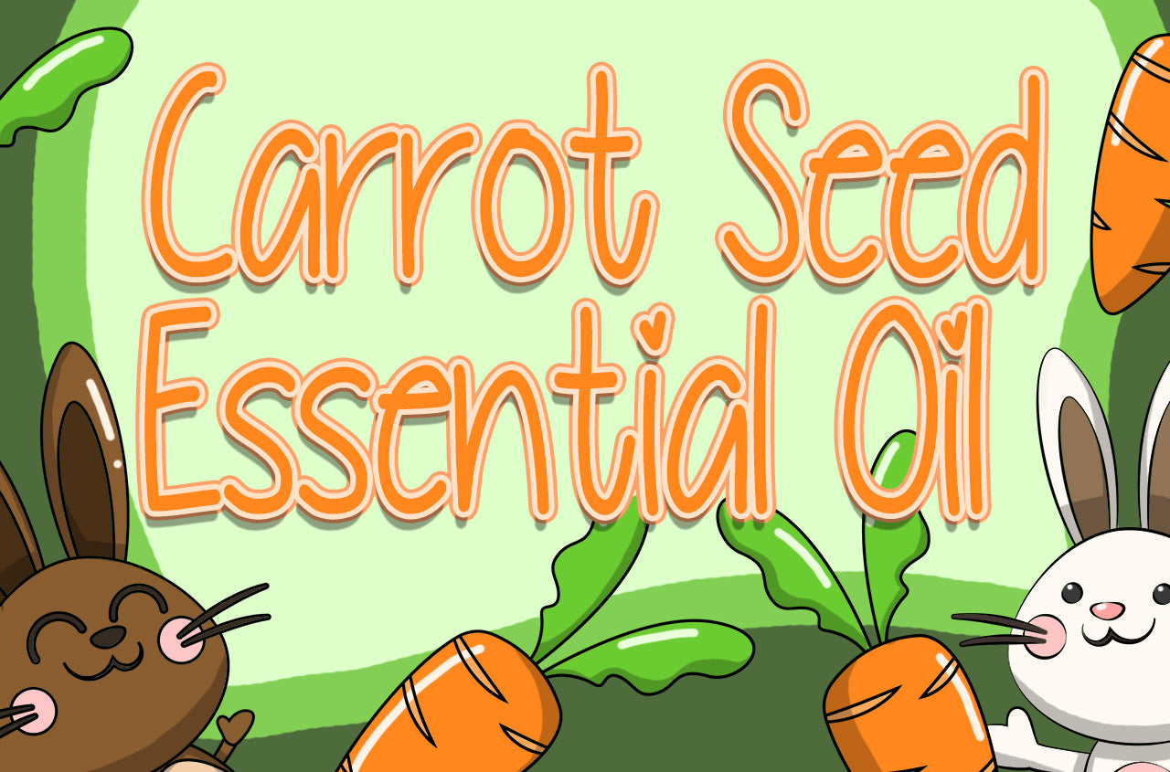 Carrot Seed Essential Oil Coloring Pages